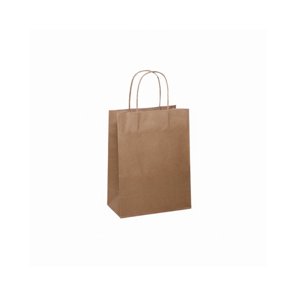 Paper Carry Bag