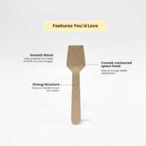 wooden ice cream spoon supplier malaysia