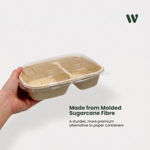 Sugarcane 2-compartment food container with PET lid supplier KL