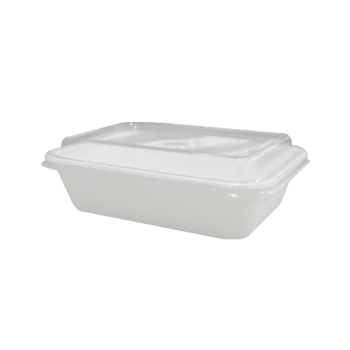 Sugarcane-rectangular-with-clear-lid